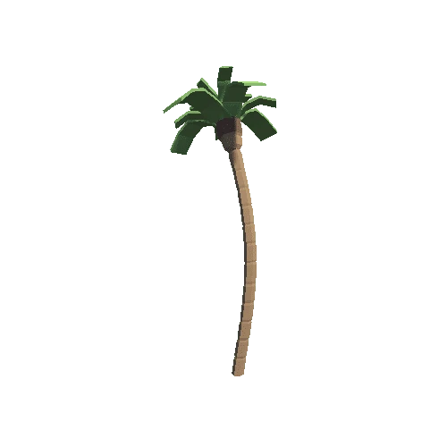 Palm Tree 04